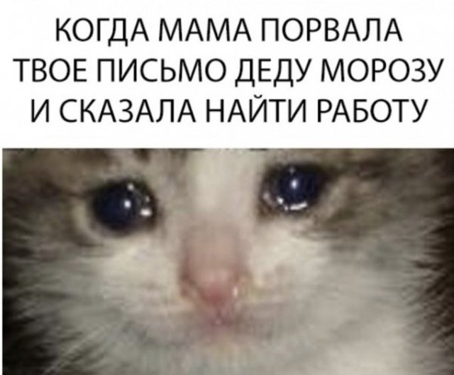 202018-12-11-23_59_44.jpg