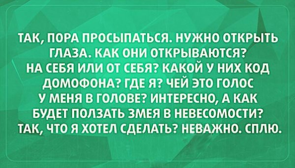 212017-10-2-13_7_48.jpg