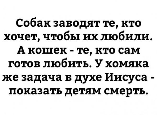 222017-9-6-17_18_28.jpg