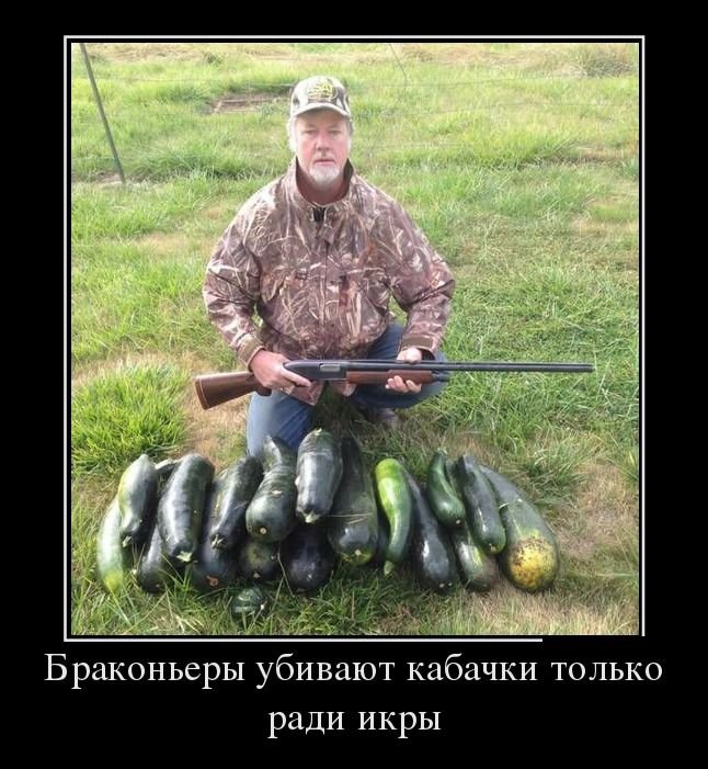 29demotiavtory_15.jpg