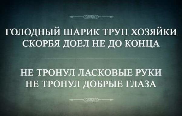 382017-10-2-13_8_26.jpg