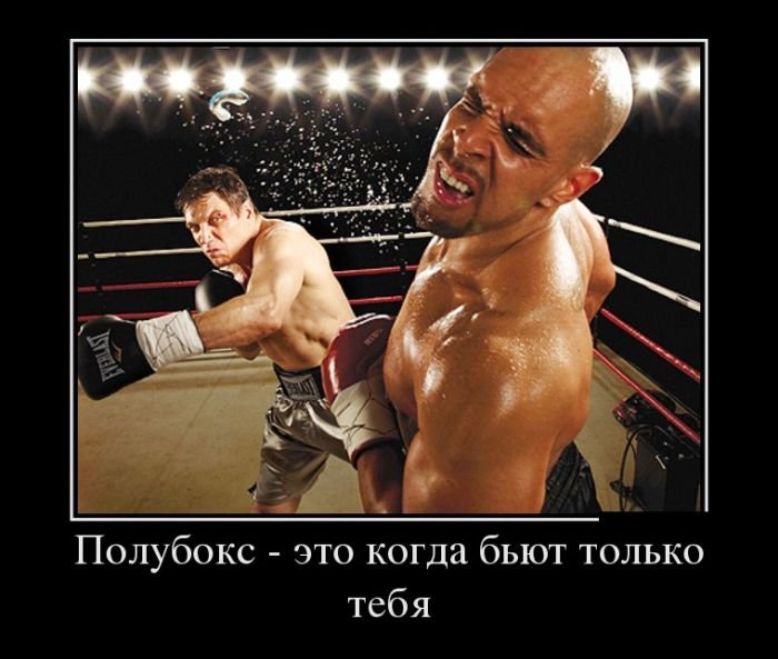 3demotivatory_26.jpg