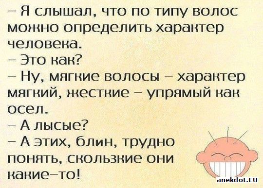 53694_1.jpg