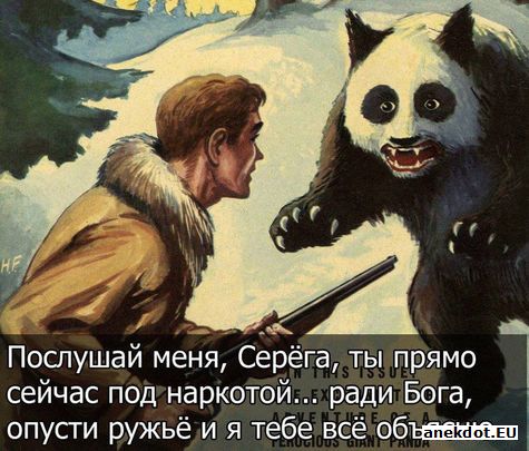54102_0.jpg