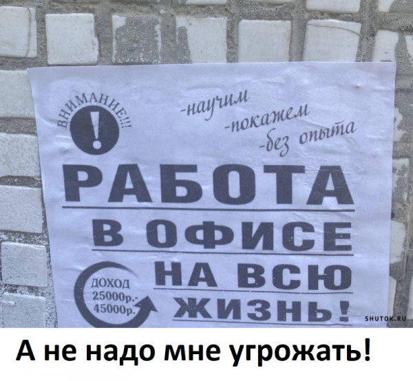 6080067_original.jpg
