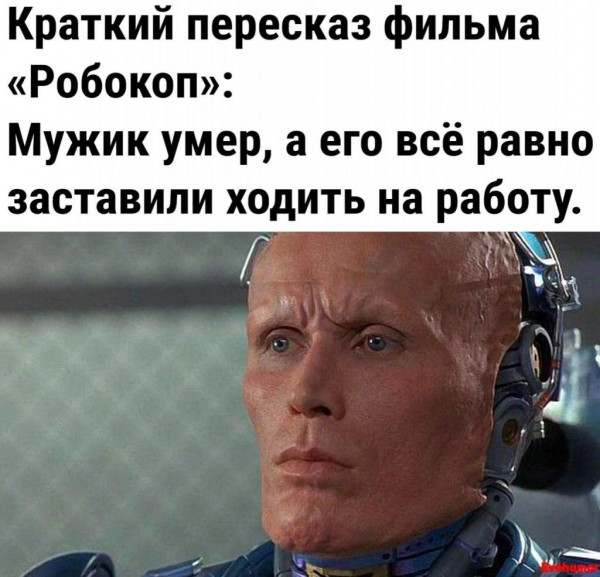 6770674_original.jpg