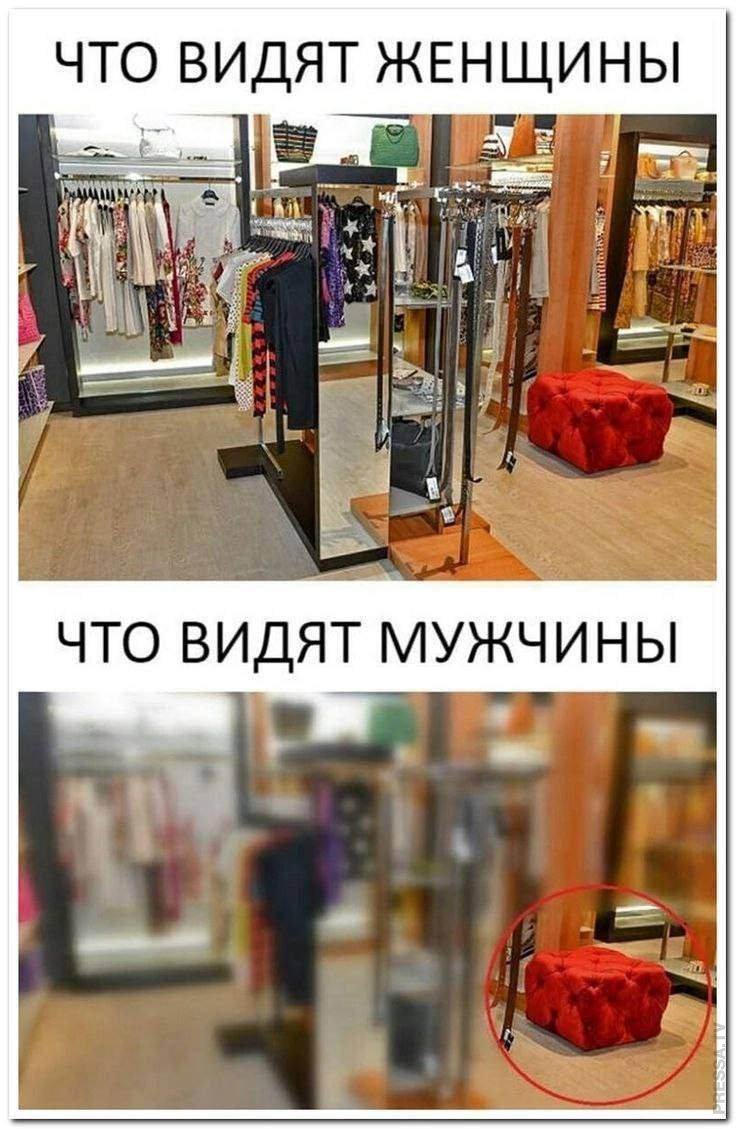 7218501_original.jpg