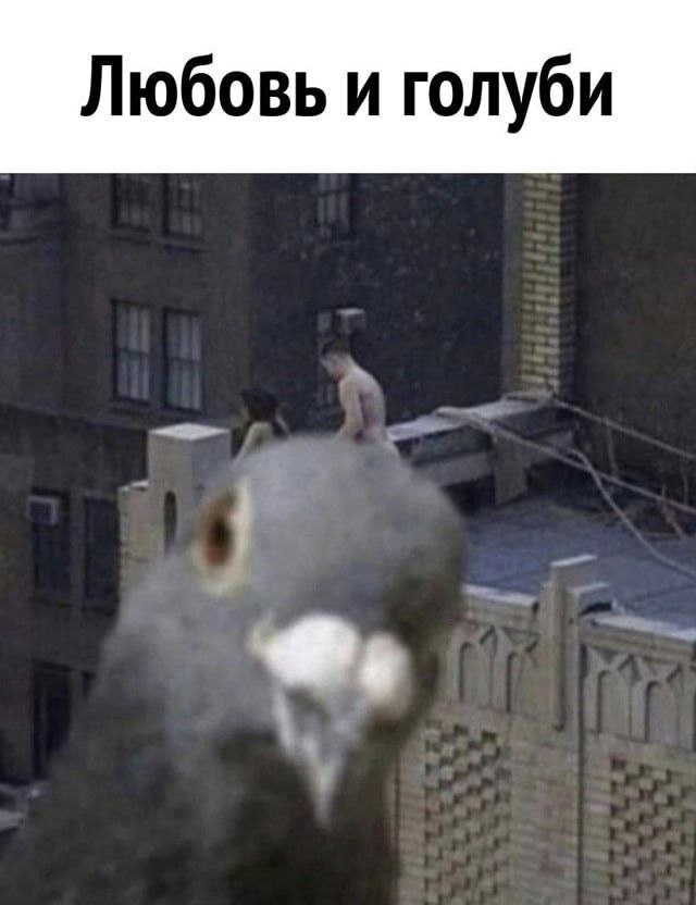 8378708_original.jpg