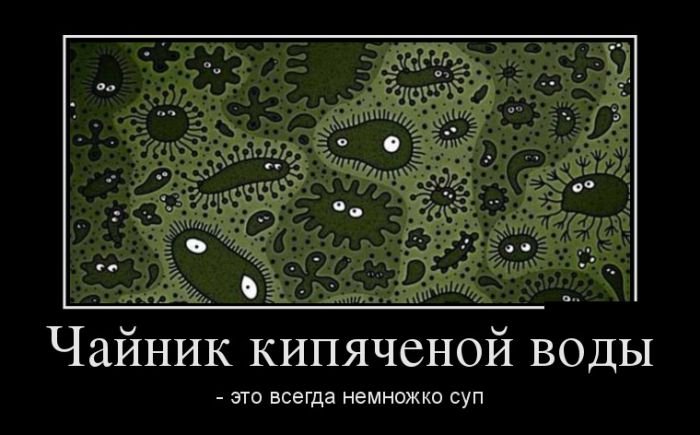 8demotivatory_11.jpg