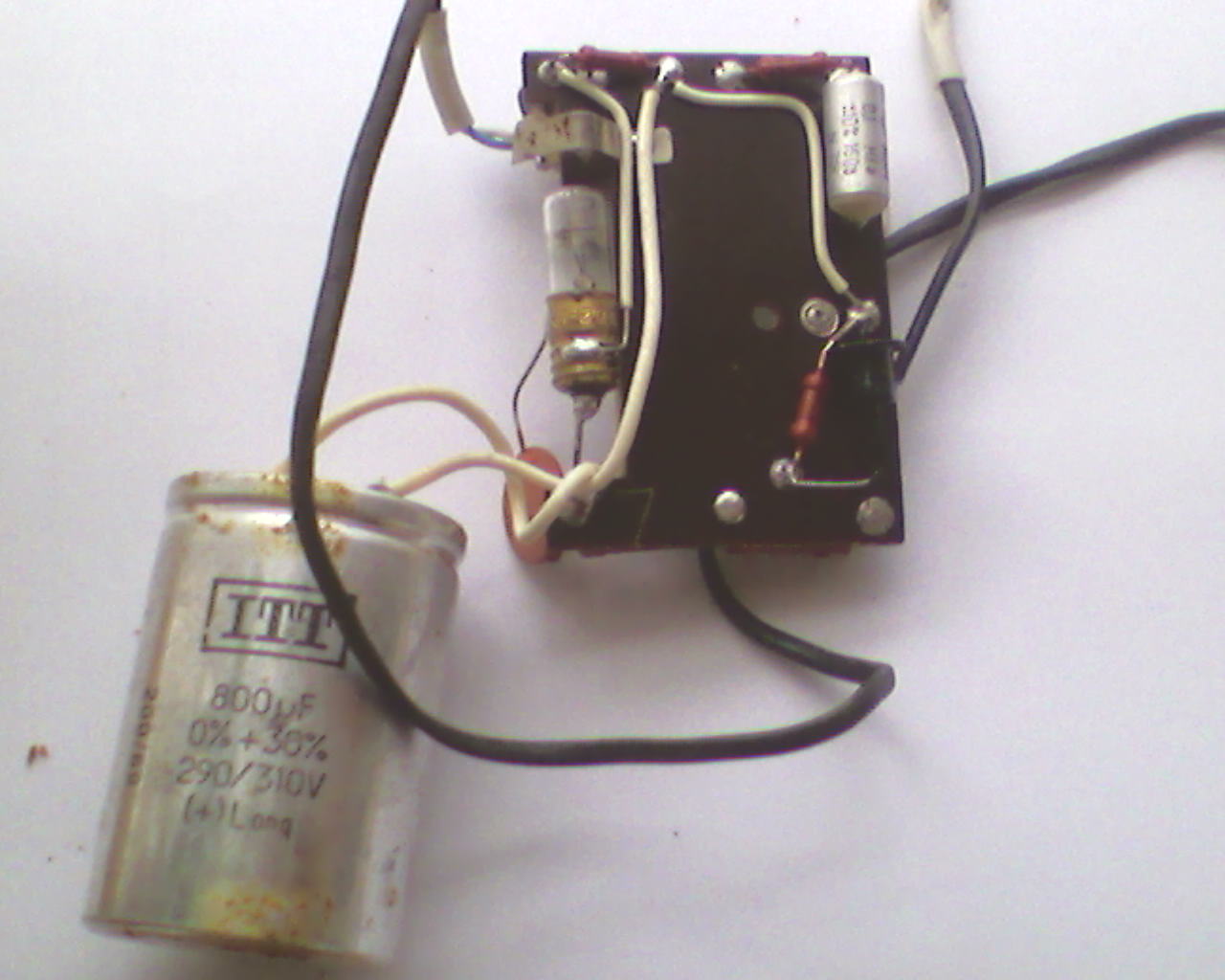 A0870.jpg