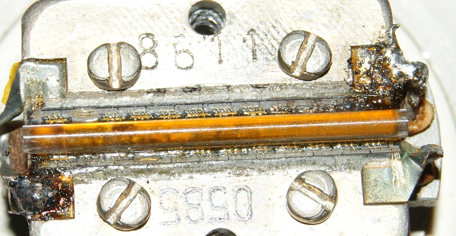 macro.JPG