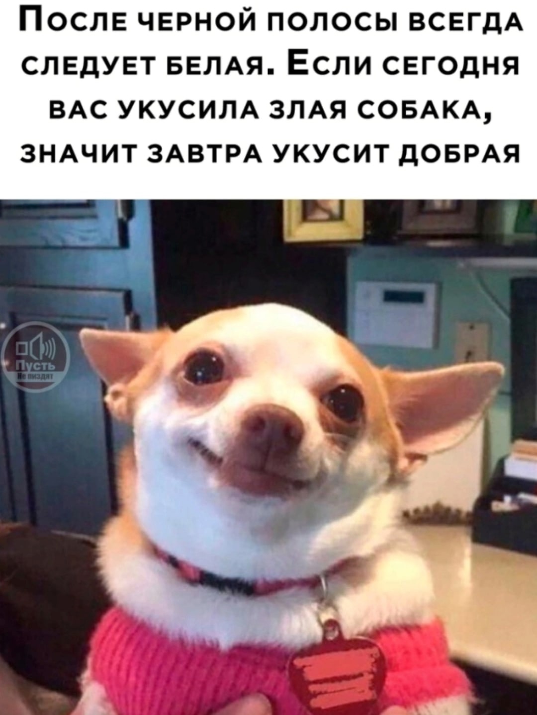 o7kYatQSlG8.jpg