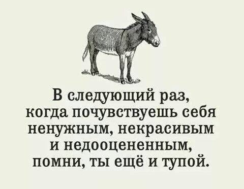 piatprik21.jpg