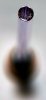 DSC_2419a.JPG