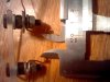 2012-01-15-212.jpg