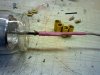 2012-05-03-466.jpg