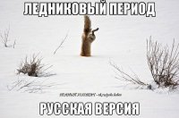 799494647496794646.jpg