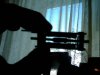 IMG0208A.jpg
