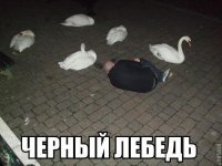 ltVkooZT1Mo.jpg