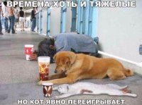 ndG8rZgUfw0.jpg