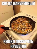 9P-Jt5se1Wk.jpg