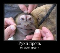 895656664166859.jpg