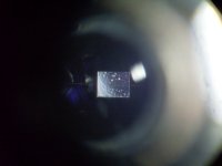 SDC17449.JPG