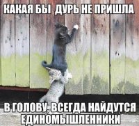 15219406_1495172370511312_3601515717678060487_n.jpg