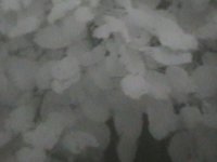 IMGA0008.JPG