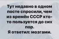 мозгами.jpg