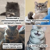 стишок.jpg