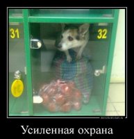 охрана.JPG