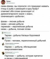 зан.jpeg