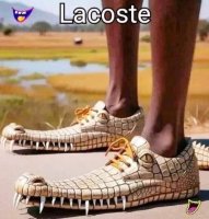 lacoste.jpg