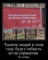 упрямство.JPG