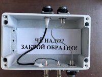 обратно.jpg