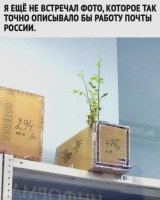почты.jpeg