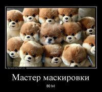 мастер.JPG