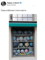 избегают.jpg