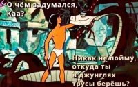 в джунглях.jpg