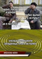по полю.jpg