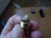 DSC04884.jpg