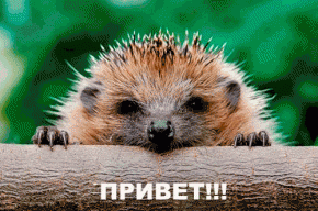 Dmitiy